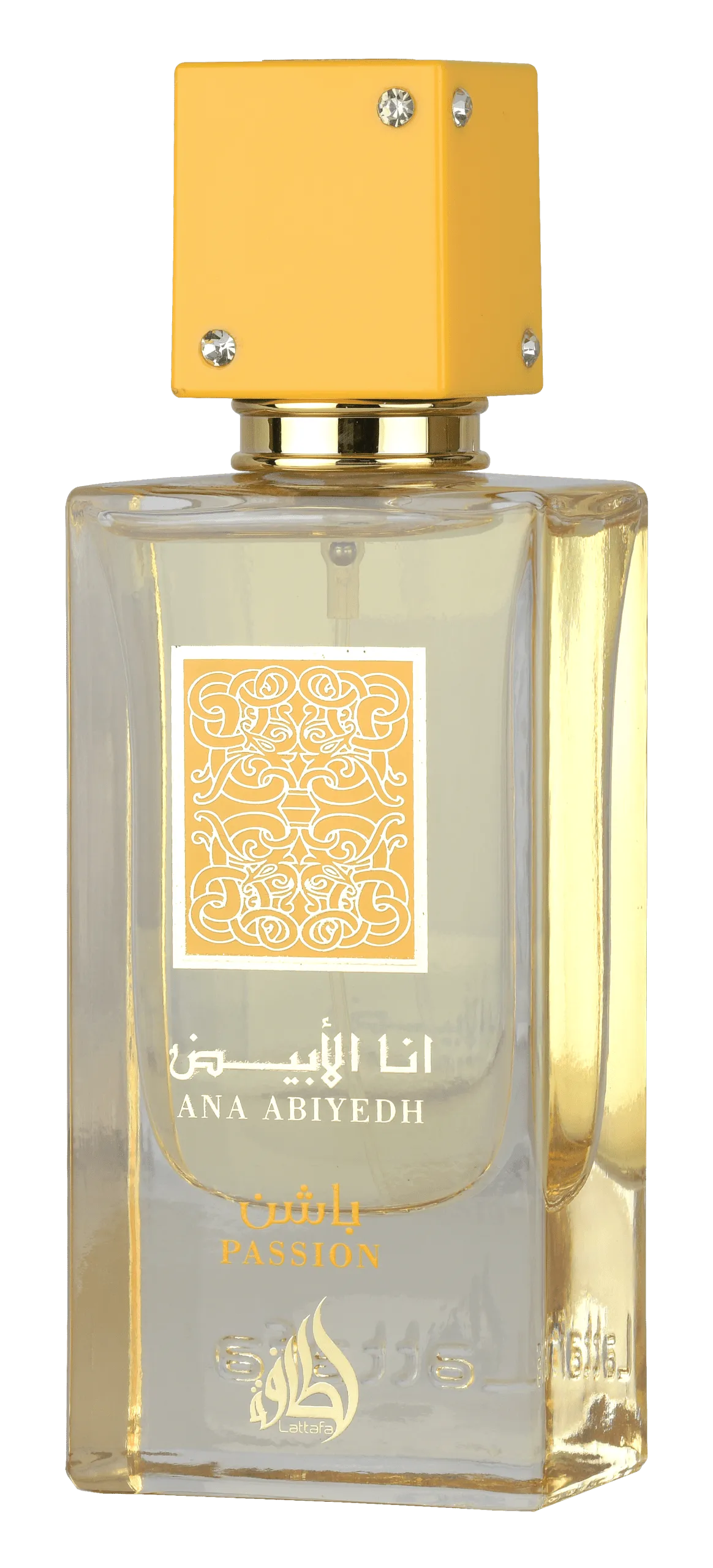 ANA ABIYEDH PASSION