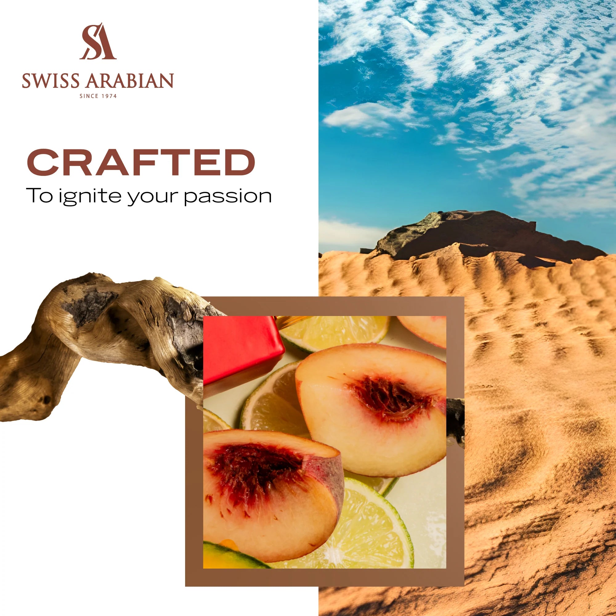 SHAGHAF OUD AHMAR EDP