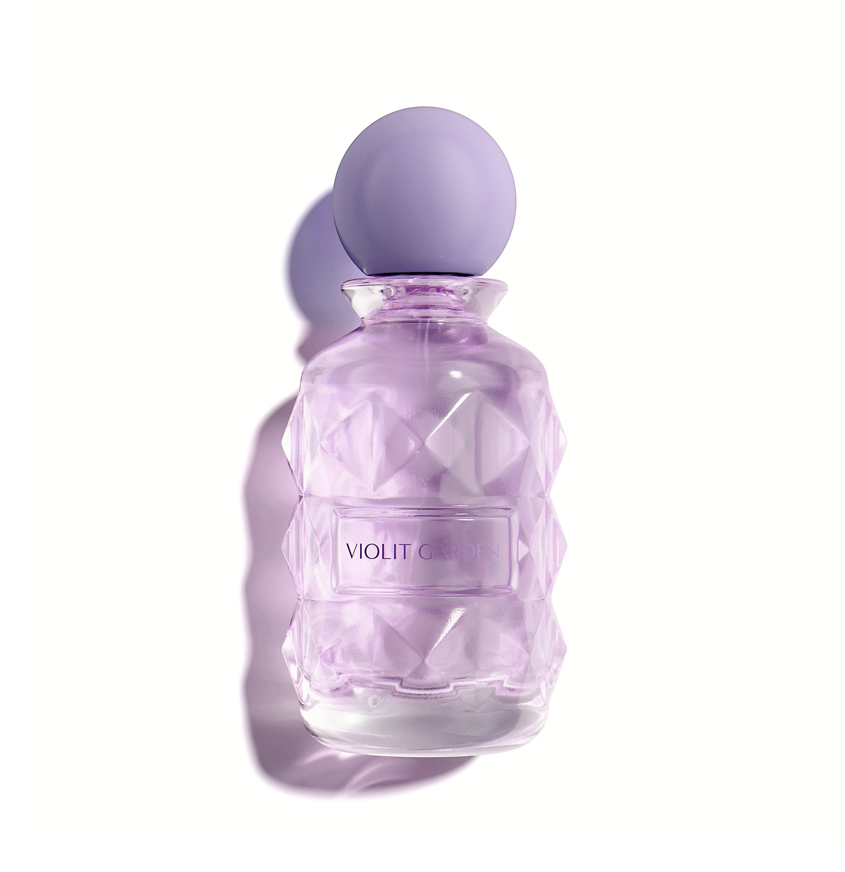 VIOLET GARDEN