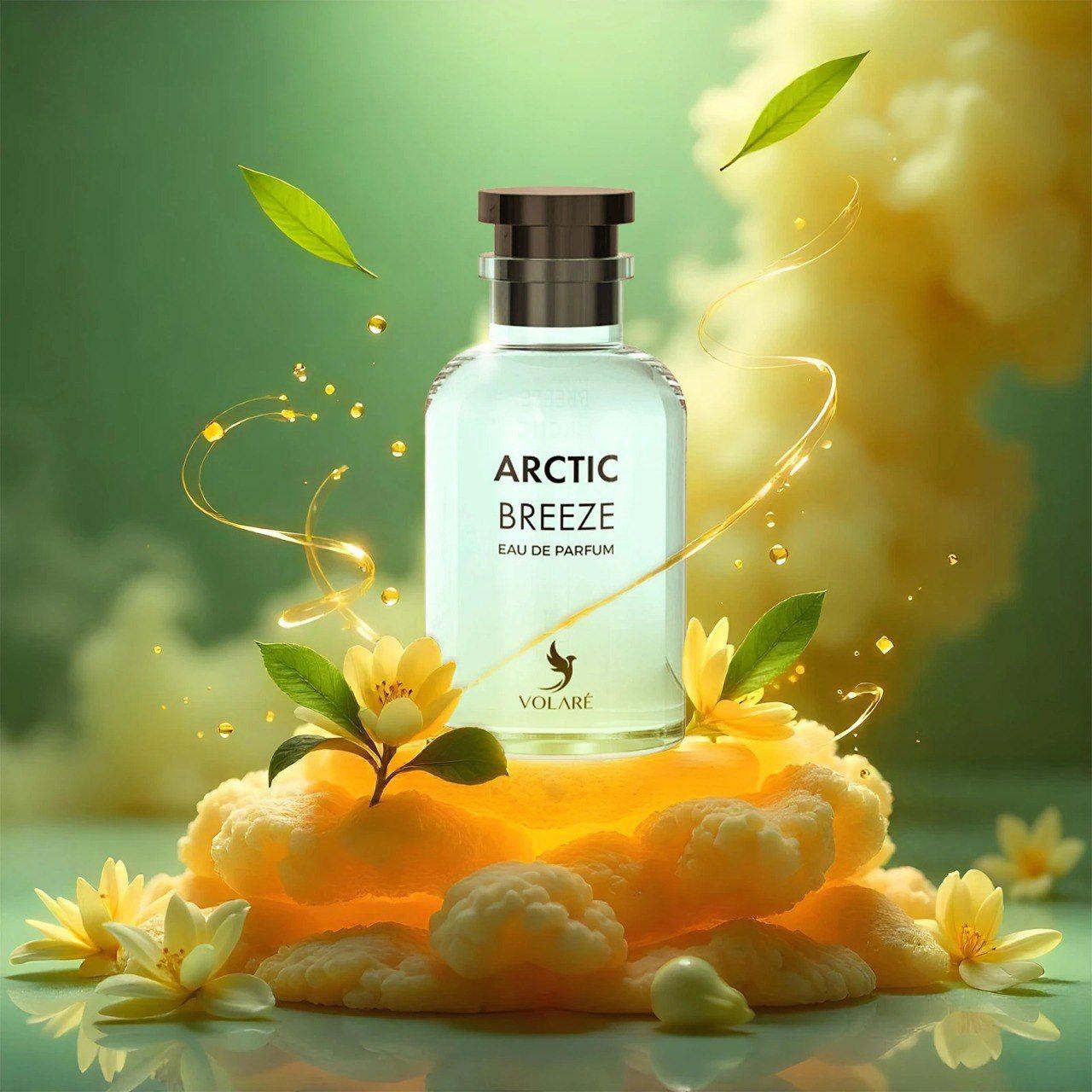 Arctic Breeze