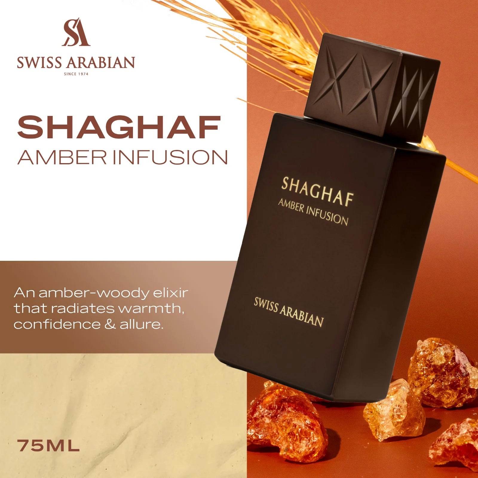 SHAGHAF AMBER INFUSION
